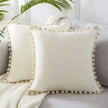 Amity Square Elegant Throw Pillow Cover Tassel Ball Solid Soft Velvet Home Hotel Bedroom Car Decorative Cushion Cover