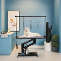 Petsproofing Ebay Professional Collapsible Comfort Stainless Steel Height Adjustable Lifting Dog Pet Grooming Table for Sale
