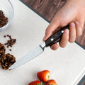 3.5 Inch 3Cr13 Stainless Steel Kitchen Paring Knife with Ergonomic Micarta and S/S 430 Handle Eco-Friendly Gift Box
