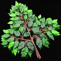 H6 Pastoral Decoration Fireproof and Flame-retardant Leaves Plastic Simulation Ginkgo Banyan Leaves Red Maple Leaves