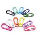 Wholesale Metal Key Chains Accessories Colourful Spring Carabiner Clip Small Snap Hook Carabiner Keychain