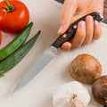 3.5 Inch 3Cr13 Stainless Steel Kitchen Knife Ergonomic Micarta and S/S 430 Handle Paring Knife Eco-Friendly Gift Box