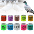 Multicolor Pigeon Foot Ring With Word Ring Tag Custom Parrot Clips Rfid Leg Bird Pigeon Foot Rings