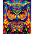 Colorful Owl Animals Painting by Numbers Kit 40x50cm/16x20inch Handmade Marker DIY European Landscape Gift Without Frame