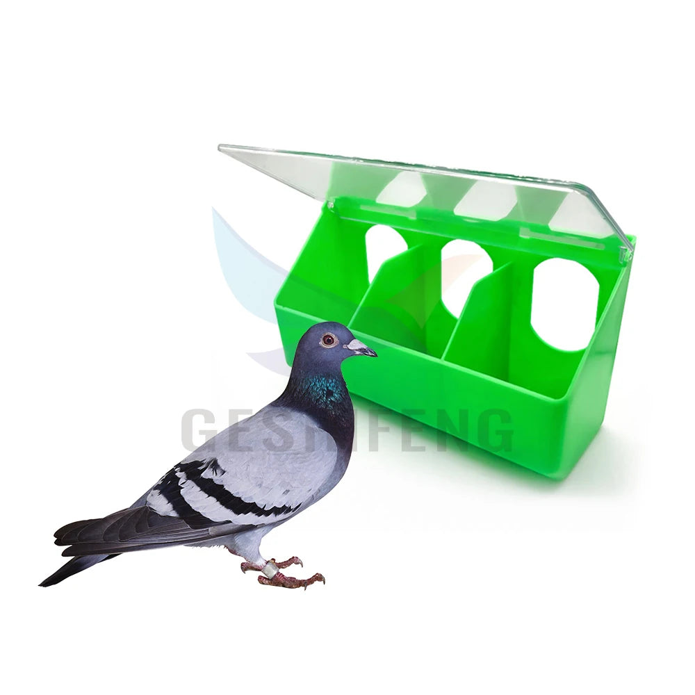 Three Hole Plastic Feeder 24x8x14cm PP Plastic Brown Green Blue Bird Feeding Bowl Pigeon Food Feeder