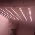 Europe Warehouse 800W 1000W Samsung LED Grow Lamp 5x5ft Flowering Coverage Sunlike Foldable 8 Bars LED Plant Growing Light
