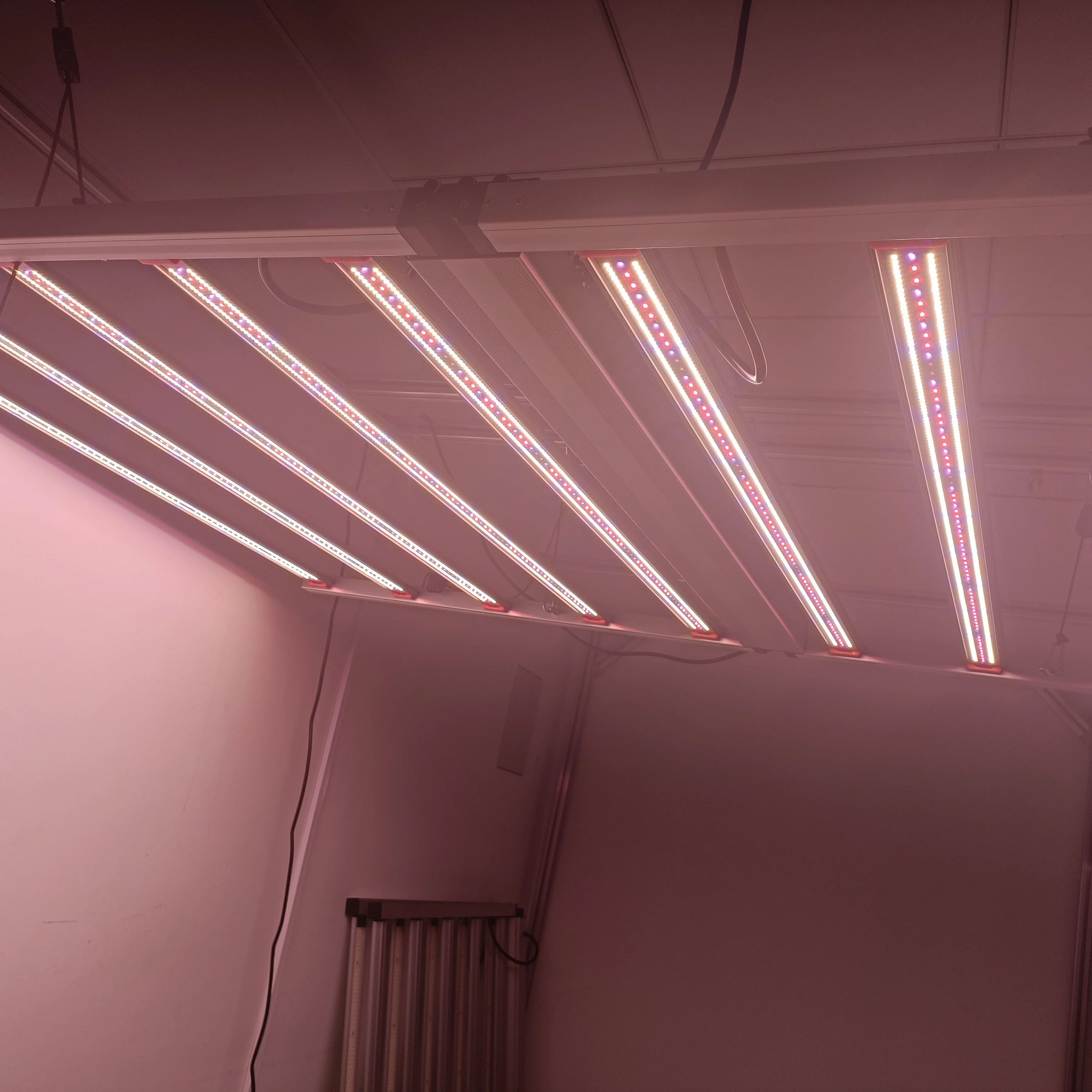 Europe Warehouse 800W 1000W Samsung LED Grow Lamp 5x5ft Flowering Coverage Sunlike Foldable 8 Bars LED Plant Growing Light