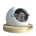 USMILEPET Best Seller Automatic Dryer Box for Cats and Small Dogs Plastic Adjustable Temperature Quiet and Safe with Timer