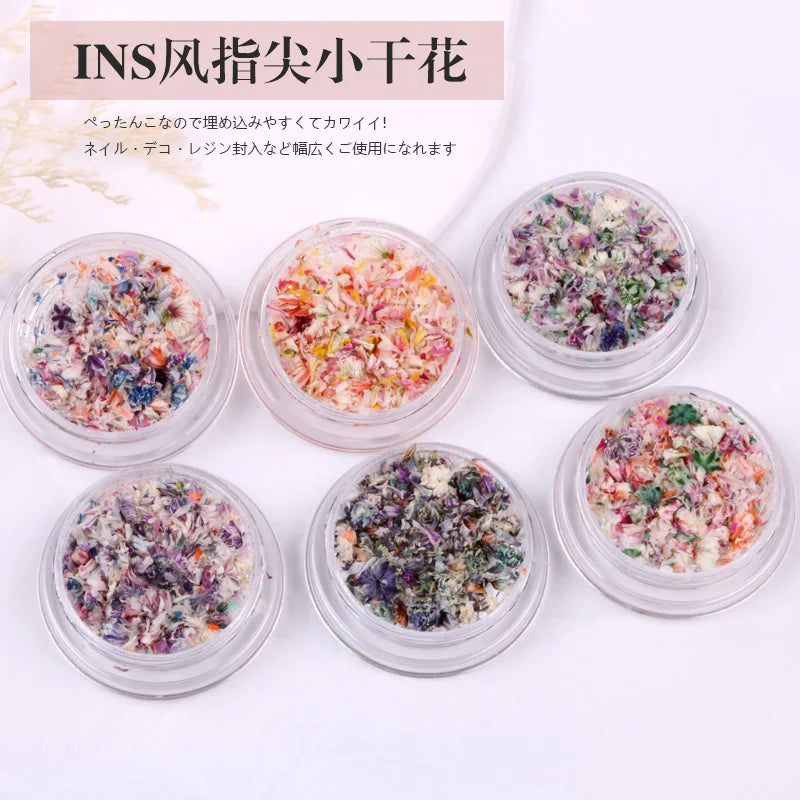 TSZS New Deign Mix Colorful Dried Flower Nail 3d Real Natural Dried Flower Nail Art Decoration 3d Beauty Floral Nail Stickers