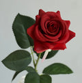 Y-H003 Wholesale Real Touch Rose Flower Single 42cm Real Touch Red Artificial Rose Flowers for Wedding Home Decoration