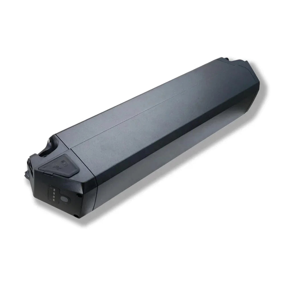 Super Powerful Long-Lasting 48V25AH 21700 13s5p Lithium Ion Battery for Electric Bike Conversions