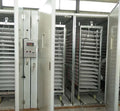 Intelligent Automatic Incubator Large Capacity High Hatching Rate