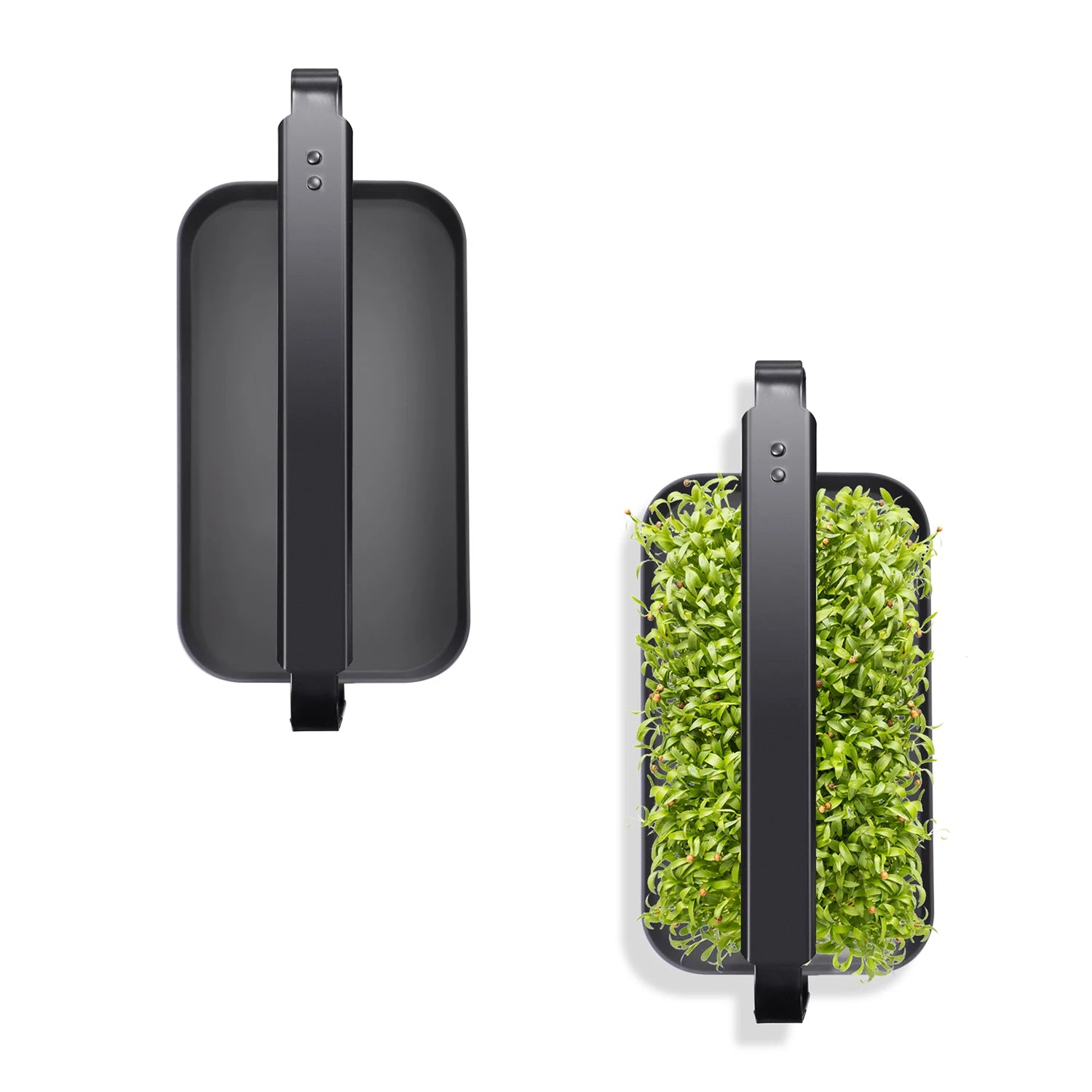 Portable Electronic Hanging Plant Growing Kit Home Indoor Hydroponic Grow System Full-Spectrum LED Light Automated Timed
