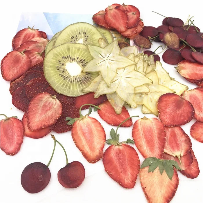 M072 Phone Case Wooden Frame Dry Press Flower Mini Fruit Slice Small Natural Handmade Dried Fruit Specimens Dried Pressed Fruit