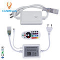 Single Color Waterproof Led Strip Lights Plug RGB Plug 5050 Smd Led Strip 3014 5730 2835 EU US CN Standard Plug