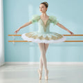 Ballet Tutu Skirt Women Dress Long for Girls Performance Clothing Swan Ballet Tutu Ballet Dress