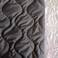 400T 20D Calabash Nylon Double Side Quilting Fabric