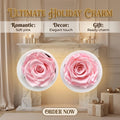HFlora Wholesale High Quality Preserved Roses Flower Head 7-8cm Yunnan Natural Eternal for Wedding Valentine's Day Graduation