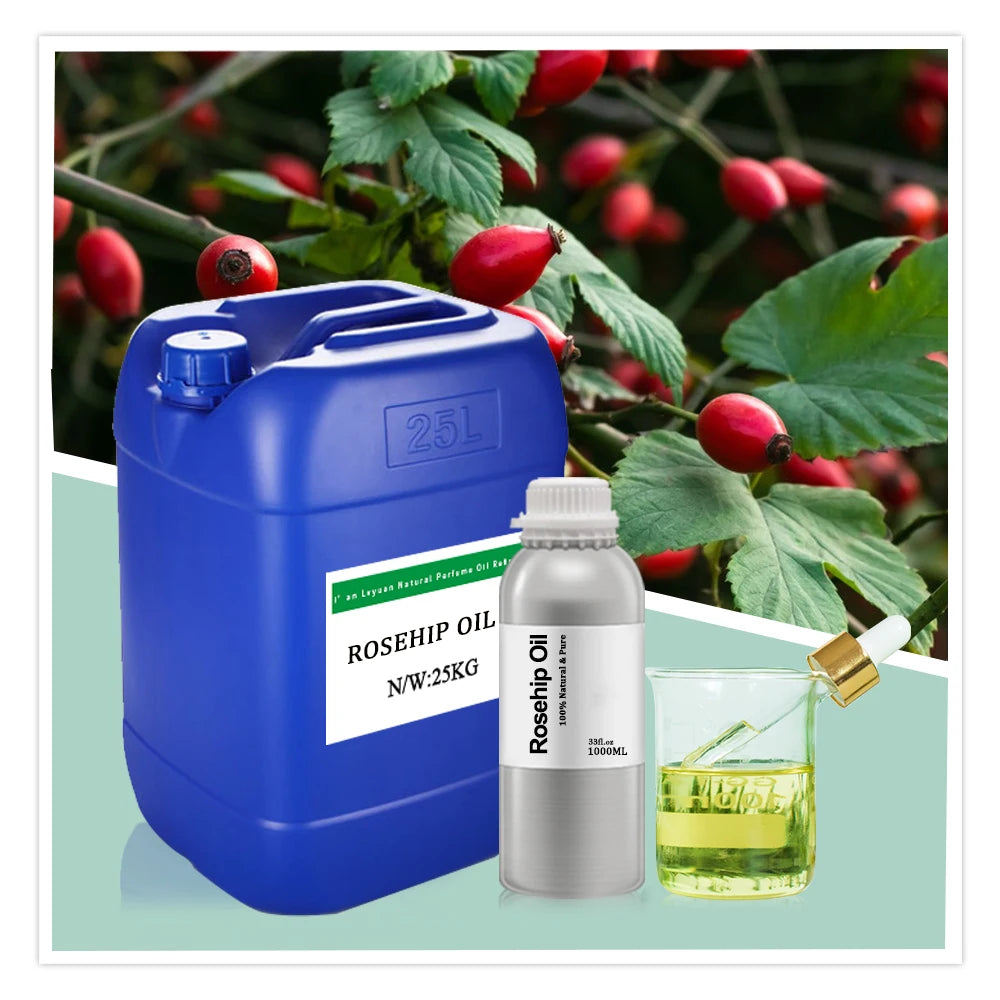 Natural Rosehip Oil Bulk Rose Hip Seed Oil for Face Care Rosehip Oil Organic Cold Pressed