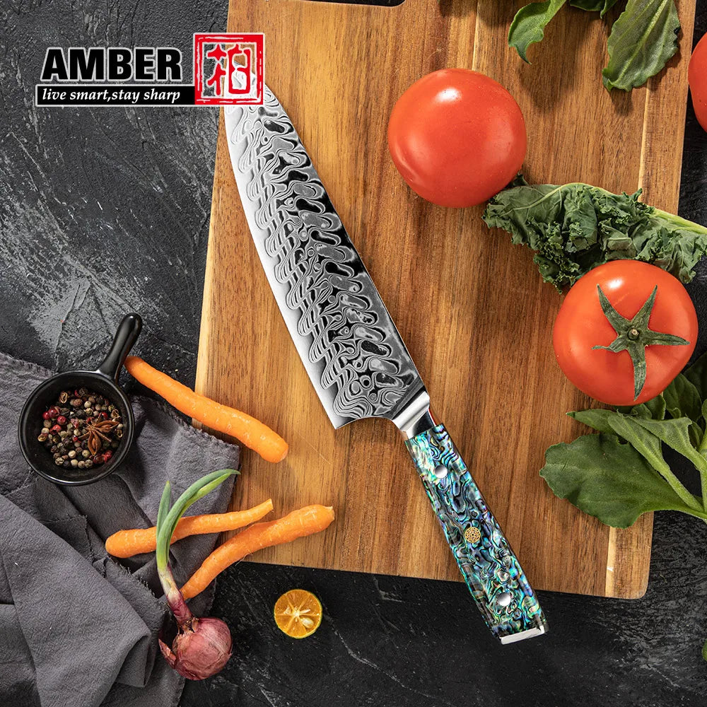 10 Pcs Top Seller 45 Layer VG10 Steel Damascus Professional Japanese Kitchen Knives with Real Deep Sea Abalone Shell Handle