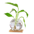 Creative Scandinavian Style Wood Ornaments Glass Vase Living Room Home Decoration Office Desktop Furnishings