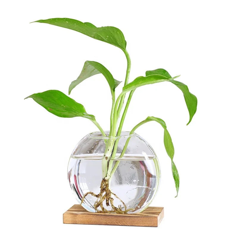 Creative Scandinavian Style Wood Ornaments Glass Vase Living Room Home Decoration Office Desktop Furnishings