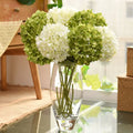 Sweet Sakura Flower White Real Touch Preserved Hydrangea Dried Flower in Box for Wedding Decoration Home Decor