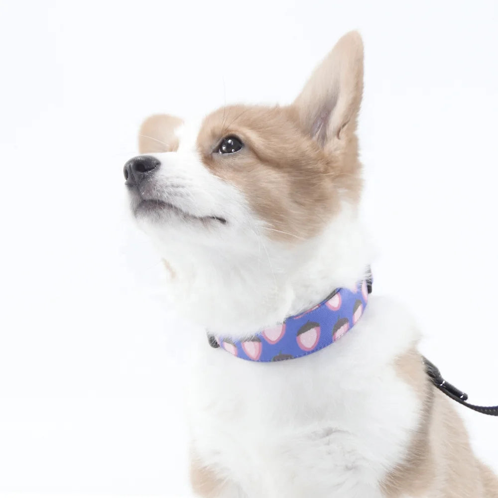 Wholesale Luxury Dog Jewelry Small Dog Neck Collar Nylon Strawberry Pattern Mouth Towel Set Pet Accessories