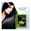Factory Price Private Label Customize Avocado Biotin Hair Dye Conditioner Organic Herbal Vegan Black Hair Shampoo 2-IN-1