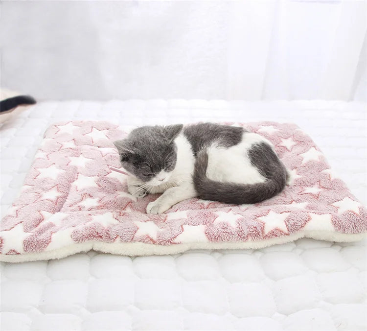 Double Sided Soft Flannel Cashmere Thickened Keep Warm Pet Beds Soft Fleece Pad Pet Blanket Bed Mat for Cushion Home Rug