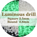 N-ZS013 2021 New 5200 Square DMC 5D DIY Diamond Painting Embroidery Rhinestone Mosaic Glow Dark Resin Stone Crystal 5D DIY