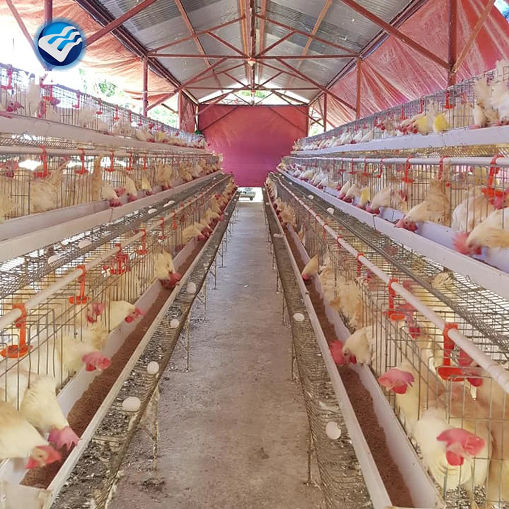 Hot Sale Poultry Farm Equipment Laying Egg Hens Cage System Used in Layer Battery Chicken Cage