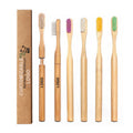 BPA Free Biodegradable Bamboo Toothbrush with Custom Logo Private Label Eco-friendly Replacement Brush Head Cepillos De Bambu