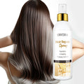 Natural Organic Custom Heat Protectant Spray Keratin Tames Frizz Silkening Mist Hair Repair Spray