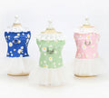 2023 Fashion Newest Summer Jeans Pet Dress