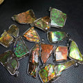 Ammolite Pendant Natural Crystal S925 Natural Canada Ammolite Pendant for Decoration