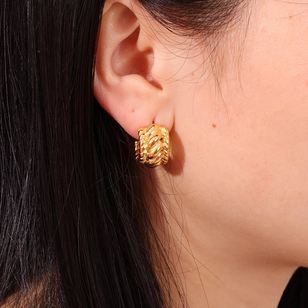 High Quality Casting Titanium Steel Stud Earrings French Vintage Wheat Twist Colorfast Fashion Waterproof