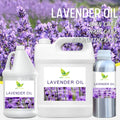 Wholesale Bulk 100% Pure Lavender Essential Oil for Skin Hair Care Organic Lavender Essential Oil for Beauty Sleep Body Relax