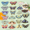 Popular Metal Crafts Custom Cartoon Insect Badge Exquisite Butterfly Brooch Accessories Personalized Soft Enamel Lapel Pins