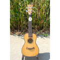 China Made High Grade Aiersi Brand 23 Inch Solid Spruce Top Ukulele Zebrawood Concert Ukelele Factory Custom OEM ODM logo Guitar