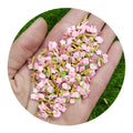 Kawaii Strawberry Diamond Polymer Clay Sprinkles for Slime Filling Accessories DIY Nail Art Decoration Scrapbooking Craft  Decor