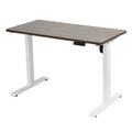 ADA Electric Adjust Height Lifting Gaming Tables PC Computer Standing Gaming Desk With RGB Lights and Cable Storage Box