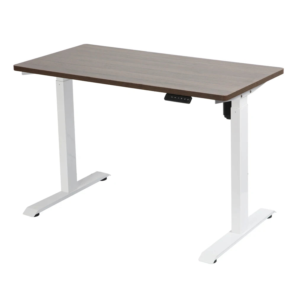 ADA Electric Adjust Height Lifting Gaming Tables PC Computer Standing Gaming Desk With RGB Lights and Cable Storage Box