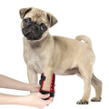 Anredar 660nm 850nm Near Infrared Red Light Therapy Pad 0 EMF Red Light Therapy for Pets