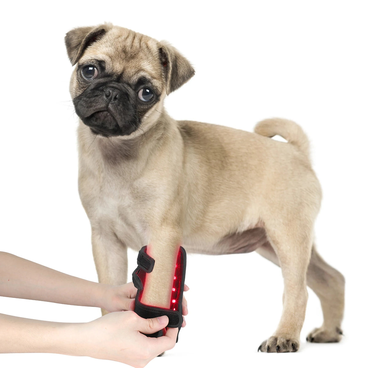 Anredar 660nm 850nm Near Infrared Red Light Therapy Pad 0 EMF Red Light Therapy for Pets