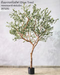Manufacturer's Artificial 180cm Bonsai Potted Olive Tree Grass-Type Decorative Silk Leaves Features Fake Plastic Olive Leaf