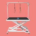 Professional Grade Portable Electric Lifting Foldable Dog Show Pet Stainless Steel Trimming Drying Grooming Table Charge Powered