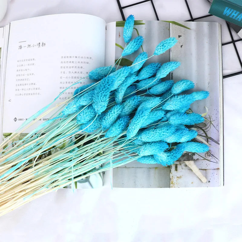AYOYO Wholesale Dried Decorative Home Wedding Party Flower 50 Pcs Each bunch Jewelweed Gem Grass Phalaris