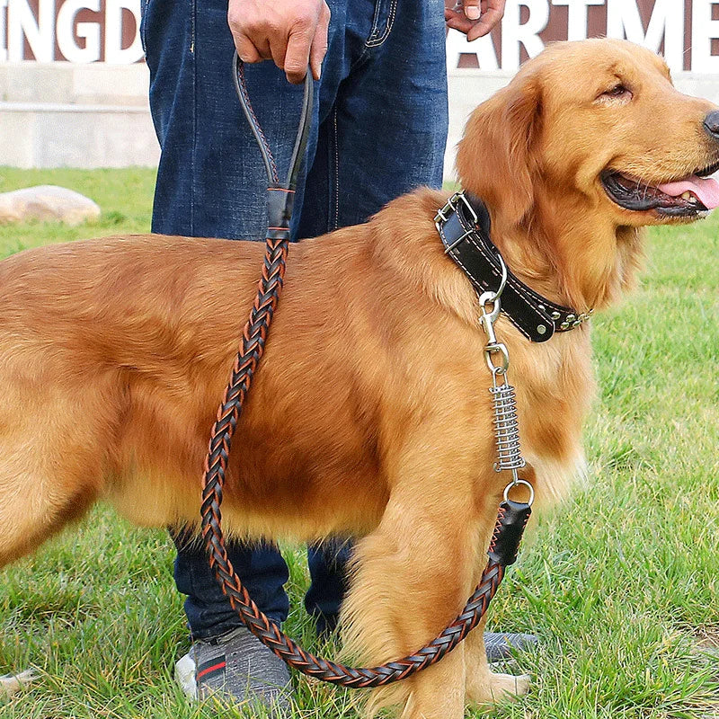 Handmade Cow Leather Dog Leash and Collar Set Padded Solid Braided