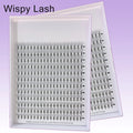 Large Tray Wispy Lash Extension 0.05 0.07mm 5D 7D 9D sharp Base Premade Volume Fans